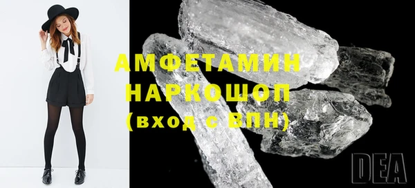 шишки Аркадак