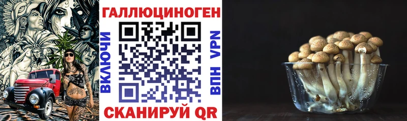 закладка  blacksprut ONION  это Telegram  Бронницы  Псилоцибиновые грибы Psilocybe 